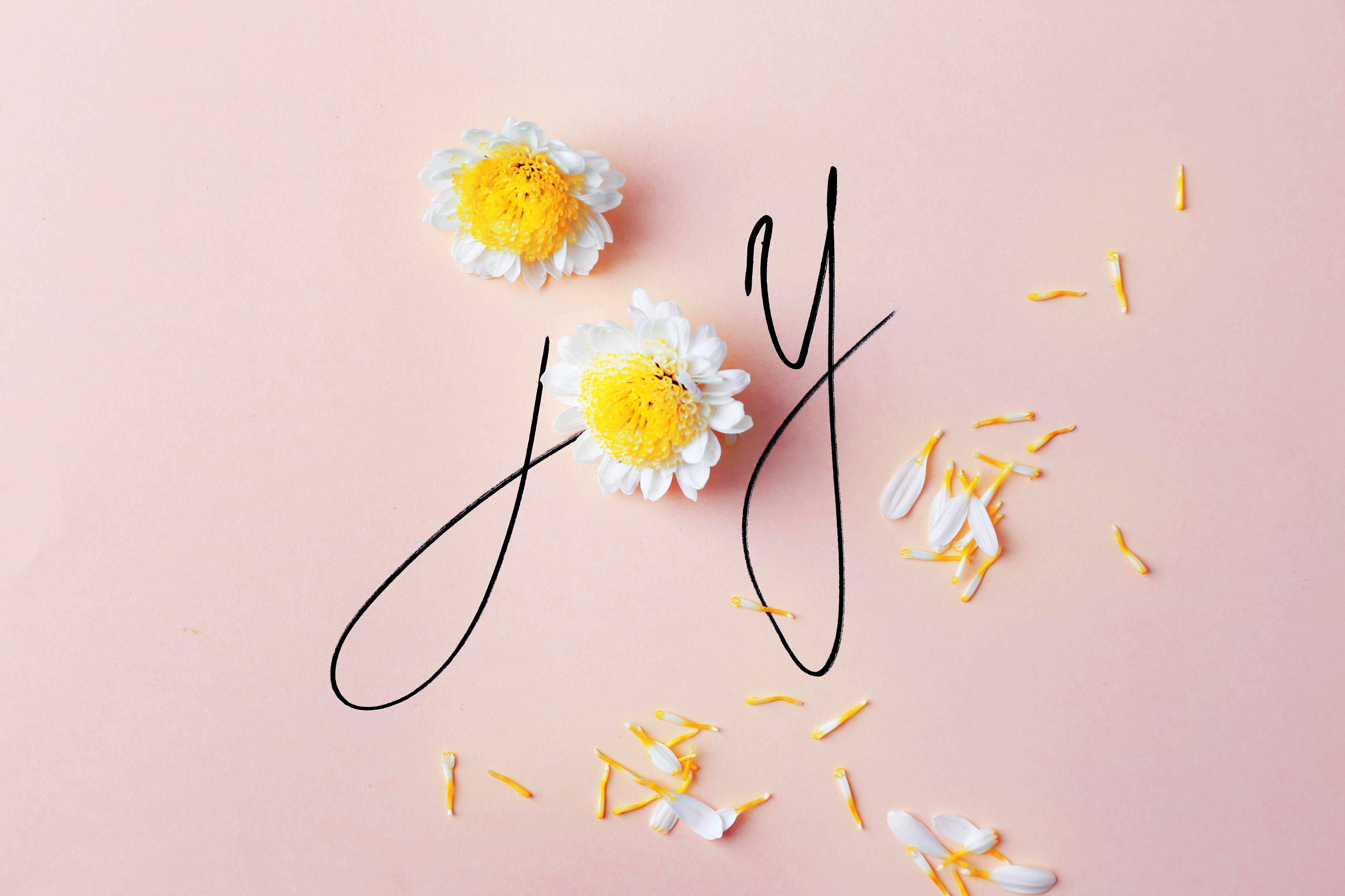 {"type":"elementor","siteurl":"https://wholenesspsych.com/wp-json/","elements":[{"id":"95ac5cd","elType":"widget","isInner":false,"isLocked":false,"settings":{"image":{"url":"https://wholenesspsych.com/wp-content/uploads/2022/05/shutterstock_376990735-1.jpg","id":2722,"size":"","alt":"","source":"library"},"pa_condition_repeater":[],"premium_tooltip_text":"Hi, I'm a global tooltip.","premium_tooltip_position":"top,bottom","image_size":"large","image_custom_dimension":{"width":"","height":""},"caption_source":"none","caption":"","link_to":"none","link":{"url":"","is_external":"","nofollow":"","custom_attributes":""},"open_lightbox":"default","align":"","align_tablet":"","align_mobile":"","width":{"unit":"%","size":"","sizes":[]},"width_tablet":{"unit":"%","size":"","sizes":[]},"width_mobile":{"unit":"%","size":"","sizes":[]},"space":{"unit":"%","size":"","sizes":[]},"space_tablet":{"unit":"%","size":"","sizes":[]},"space_mobile":{"unit":"%","size":"","sizes":[]},"height":{"unit":"px","size":"","sizes":[]},"height_tablet":{"unit":"px","size":"","sizes":[]},"height_mobile":{"unit":"px","size":"","sizes":[]},"object-fit":"","object-fit_tablet":"","object-fit_mobile":"","object-position":"center center","object-position_tablet":"","object-position_mobile":"","opacity":{"unit":"px","size":"","sizes":[]},"css_filters_css_filter":"","css_filters_blur":{"unit":"px","size":0,"sizes":[]},"css_filters_brightness":{"unit":"px","size":100,"sizes":[]},"css_filters_contrast":{"unit":"px","size":100,"sizes":[]},"css_filters_saturate":{"unit":"px","size":100,"sizes":[]},"css_filters_hue":{"unit":"px","size":0,"sizes":[]},"opacity_hover":{"unit":"px","size":"","sizes":[]},"css_filters_hover_css_filter":"","css_filters_hover_blur":{"unit":"px","size":0,"sizes":[]},"css_filters_hover_brightness":{"unit":"px","size":100,"sizes":[]},"css_filters_hover_contrast":{"unit":"px","size":100,"sizes":[]},"css_filters_hover_saturate":{"unit":"px","size":100,"sizes":[]},"css_filters_hover_hue":{"unit":"px","size":0,"sizes":[]},"background_hover_transition":{"unit":"px","size":"","sizes":[]},"hover_animation":"","image_border_border":"","image_border_width":{"unit":"px","top":"","right":"","bottom":"","left":"","isLinked":true},"image_border_width_tablet":{"unit":"px","top":"","right":"","bottom":"","left":"","isLinked":true},"image_border_width_mobile":{"unit":"px","top":"","right":"","bottom":"","left":"","isLinked":true},"image_border_color":"","image_border_radius":{"unit":"px","top":"","right":"","bottom":"","left":"","isLinked":true},"image_border_radius_tablet":{"unit":"px","top":"","right":"","bottom":"","left":"","isLinked":true},"image_border_radius_mobile":{"unit":"px","top":"","right":"","bottom":"","left":"","isLinked":true},"image_box_shadow_box_shadow_type":"","image_box_shadow_box_shadow":{"horizontal":0,"vertical":0,"blur":10,"spread":0,"color":"rgba(0,0,0,0.5)"},"caption_align":"","caption_align_tablet":"","caption_align_mobile":"","text_color":"","caption_background_color":"","caption_typography_typography":"","caption_typography_font_family":"","caption_typography_font_size":{"unit":"px","size":"","sizes":[]},"caption_typography_font_size_tablet":{"unit":"px","size":"","sizes":[]},"caption_typography_font_size_mobile":{"unit":"px","size":"","sizes":[]},"caption_typography_font_weight":"","caption_typography_text_transform":"","caption_typography_font_style":"","caption_typography_text_decoration":"","caption_typography_line_height":{"unit":"px","size":"","sizes":[]},"caption_typography_line_height_tablet":{"unit":"em","size":"","sizes":[]},"caption_typography_line_height_mobile":{"unit":"em","size":"","sizes":[]},"caption_typography_letter_spacing":{"unit":"px","size":"","sizes":[]},"caption_typography_letter_spacing_tablet":{"unit":"px","size":"","sizes":[]},"caption_typography_letter_spacing_mobile":{"unit":"px","size":"","sizes":[]},"caption_typography_word_spacing":{"unit":"px","size":"","sizes":[]},"caption_typography_word_spacing_tablet":{"unit":"em","size":"","sizes":[]},"caption_typography_word_spacing_mobile":{"unit":"em","size":"","sizes":[]},"caption_text_shadow_text_shadow_type":"","caption_text_shadow_text_shadow":{"horizontal":0,"vertical":0,"blur":10,"color":"rgba(0,0,0,0.3)"},"caption_space":{"unit":"px","size":"","sizes":[]},"caption_space_tablet":{"unit":"px","size":"","sizes":[]},"caption_space_mobile":{"unit":"px","size":"","sizes":[]},"_title":"","_margin":{"unit":"px","top":"","right":"","bottom":"","left":"","isLinked":true},"_margin_tablet":{"unit":"px","top":"","right":"","bottom":"","left":"","isLinked":true},"_margin_mobile":{"unit":"px","top":"","right":"","bottom":"","left":"","isLinked":true},"_padding":{"unit":"px","top":"","right":"","bottom":"","left":"","isLinked":true},"_padding_tablet":{"unit":"px","top":"","right":"","bottom":"","left":"","isLinked":true},"_padding_mobile":{"unit":"px","top":"","right":"","bottom":"","left":"","isLinked":true},"_element_width":"","_element_width_tablet":"","_element_width_mobile":"","_element_custom_width":{"unit":"%","size":"","sizes":[]},"_element_custom_width_tablet":{"unit":"px","size":"","sizes":[]},"_element_custom_width_mobile":{"unit":"px","size":"","sizes":[]},"_element_vertical_align":"","_element_vertical_align_tablet":"","_element_vertical_align_mobile":"","_position":"","_offset_orientation_h":"start","_offset_x":{"unit":"px","size":0,"sizes":[]},"_offset_x_tablet":{"unit":"px","size":"","sizes":[]},"_offset_x_mobile":{"unit":"px","size":"","sizes":[]},"_offset_x_end":{"unit":"px","size":0,"sizes":[]},"_offset_x_end_tablet":{"unit":"px","size":"","sizes":[]},"_offset_x_end_mobile":{"unit":"px","size":"","sizes":[]},"_offset_orientation_v":"start","_offset_y":{"unit":"px","size":0,"sizes":[]},"_offset_y_tablet":{"unit":"px","size":"","sizes":[]},"_offset_y_mobile":{"unit":"px","size":"","sizes":[]},"_offset_y_end":{"unit":"px","size":0,"sizes":[]},"_offset_y_end_tablet":{"unit":"px","size":"","sizes":[]},"_offset_y_end_mobile":{"unit":"px","size":"","sizes":[]},"_z_index":"","_z_index_tablet":"","_z_index_mobile":"","_element_id":"","_css_classes":"","e_display_conditions":"","pa_display_conditions_switcher":"","pa_display_action":"show","pa_display_when":"any","premium_fe_switcher":"","premium_fe_target":"","premium_fe_translate_switcher":"","premium_fe_Xtranslate":{"unit":"px","size":"","sizes":{"from":0,"to":5}},"premium_fe_Xtranslate_tablet":{"unit":"px","size":"","sizes":[]},"premium_fe_Xtranslate_mobile":{"unit":"px","size":"","sizes":[]},"premium_fe_Ytranslate":{"unit":"px","size":"","sizes":{"from":0,"to":5}},"premium_fe_Ytranslate_tablet":{"unit":"px","size":"","sizes":[]},"premium_fe_Ytranslate_mobile":{"unit":"px","size":"","sizes":[]},"premium_fe_trans_duration":{"unit":"px","size":1000,"sizes":[]},"premium_fe_trans_delay":{"unit":"px","size":"","sizes":[]},"premium_fe_rotate_switcher":"","premium_fe_Xrotate":{"unit":"deg","size":"","sizes":{"from":0,"to":45}},"premium_fe_Xrotate_tablet":{"unit":"px","size":"","sizes":[]},"premium_fe_Xrotate_mobile":{"unit":"px","size":"","sizes":[]},"premium_fe_Yrotate":{"unit":"deg","size":"","sizes":{"from":0,"to":45}},"premium_fe_Yrotate_tablet":{"unit":"px","size":"","sizes":[]},"premium_fe_Yrotate_mobile":{"unit":"px","size":"","sizes":[]},"premium_fe_Zrotate":{"unit":"deg","size":"","sizes":{"from":0,"to":45}},"premium_fe_Zrotate_tablet":{"unit":"px","size":"","sizes":[]},"premium_fe_Zrotate_mobile":{"unit":"px","size":"","sizes":[]},"premium_fe_rotate_duration":{"unit":"px","size":1000,"sizes":[]},"premium_fe_rotate_delay":{"unit":"px","size":"","sizes":[]},"premium_fe_scale_switcher":"","premium_fe_Xscale":{"unit":"px","size":"","sizes":{"from":1,"to":1.2}},"premium_fe_Xscale_tablet":{"unit":"px","size":"","sizes":[]},"premium_fe_Xscale_mobile":{"unit":"px","size":"","sizes":[]},"premium_fe_Yscale":{"unit":"px","size":"","sizes":{"from":1,"to":1.2}},"premium_fe_Yscale_tablet":{"unit":"px","size":"","sizes":[]},"premium_fe_Yscale_mobile":{"unit":"px","size":"","sizes":[]},"premium_fe_scale_duration":{"unit":"px","size":1000,"sizes":[]},"premium_fe_scale_delay":{"unit":"px","size":"","sizes":[]},"premium_fe_skew_switcher":"","premium_fe_Xskew":{"unit":"deg","size":"","sizes":{"from":0,"to":20}},"premium_fe_Xskew_tablet":{"unit":"px","size":"","sizes":[]},"premium_fe_Xskew_mobile":{"unit":"px","size":"","sizes":[]},"premium_fe_Yskew":{"unit":"deg","size":"","sizes":{"from":0,"to":20}},"premium_fe_Yskew_tablet":{"unit":"px","size":"","sizes":[]},"premium_fe_Yskew_mobile":{"unit":"px","size":"","sizes":[]},"premium_fe_skew_duration":{"unit":"px","size":1000,"sizes":[]},"premium_fe_skew_delay":{"unit":"px","size":"","sizes":[]},"premium_fe_opacity_switcher":"","premium_fe_bg_color_switcher":"","premium_fe_blur_switcher":"","premium_fe_contrast_switcher":"","premium_fe_gScale_switcher":"","premium_fe_hue_switcher":"","premium_fe_brightness_switcher":"","premium_fe_saturate_switcher":"","premium_fe_direction":"alternate","premium_fe_loop":"default","premium_fe_loop_number":3,"premium_fe_easing":"easeInOutSine","premium_fe_ease_step":5,"premium_fe_disable_safari":"","premium_tooltip_switcher":"","pa_tooltip_target":"","premium_tooltip_type":"text","premium_tooltip_icon_switcher":"","premium_tooltip_icon":{"value":"fas fa-star","library":"fa-solid"},"premium_tooltip_lottie_url":"","premium_tooltip_lottie_loop":"true","premium_tooltip_lottie_reverse":"","hide_tooltip_on":[],"premium_tooltip_text_color":"","premium_tooltip_text_typo_typography":"","premium_tooltip_text_typo_font_family":"","premium_tooltip_text_typo_font_size":{"unit":"px","size":"","sizes":[]},"premium_tooltip_text_typo_font_size_tablet":{"unit":"px","size":"","sizes":[]},"premium_tooltip_text_typo_font_size_mobile":{"unit":"px","size":"","sizes":[]},"premium_tooltip_text_typo_font_weight":"","premium_tooltip_text_typo_text_transform":"","premium_tooltip_text_typo_font_style":"","premium_tooltip_text_typo_text_decoration":"","premium_tooltip_text_typo_line_height":{"unit":"px","size":"","sizes":[]},"premium_tooltip_text_typo_line_height_tablet":{"unit":"em","size":"","sizes":[]},"premium_tooltip_text_typo_line_height_mobile":{"unit":"em","size":"","sizes":[]},"premium_tooltip_text_typo_letter_spacing":{"unit":"px","size":"","sizes":[]},"premium_tooltip_text_typo_letter_spacing_tablet":{"unit":"px","size":"","sizes":[]},"premium_tooltip_text_typo_letter_spacing_mobile":{"unit":"px","size":"","sizes":[]},"premium_tooltip_text_typo_word_spacing":{"unit":"px","size":"","sizes":[]},"premium_tooltip_text_typo_word_spacing_tablet":{"unit":"em","size":"","sizes":[]},"premium_tooltip_text_typo_word_spacing_mobile":{"unit":"em","size":"","sizes":[]},"premium_tooltip_text_shadow_text_shadow_type":"","premium_tooltip_text_shadow_text_shadow":{"horizontal":0,"vertical":0,"blur":10,"color":"rgba(0,0,0,0.3)"},"premium_tooltip_icon_color":"","premium_tooltip_icon_size":{"unit":"px","size":"","sizes":[]},"premium_tooltip_icon_size_tablet":{"unit":"px","size":"","sizes":[]},"premium_tooltip_icon_size_mobile":{"unit":"px","size":"","sizes":[]},"premium_tooltip_icon_shadow_text_shadow_type":"","premium_tooltip_icon_shadow_text_shadow":{"horizontal":0,"vertical":0,"blur":10,"color":"rgba(0,0,0,0.3)"},"premium_tooltip_img_size":{"unit":"px","size":100,"sizes":[]},"premium_tooltip_img_size_tablet":{"unit":"px","size":"","sizes":[]},"premium_tooltip_img_size_mobile":{"unit":"px","size":"","sizes":[]},"premium_tooltip_img_fit":"cover","premium_tooltip_img_fit_tablet":"","premium_tooltip_img_fit_mobile":"","premium_tooltip_container_bg_background":"","premium_tooltip_container_bg_color":"","premium_tooltip_container_bg_color_stop":{"unit":"%","size":0,"sizes":[]},"premium_tooltip_container_bg_color_stop_tablet":{"unit":"%"},"premium_tooltip_container_bg_color_stop_mobile":{"unit":"%"},"premium_tooltip_container_bg_color_b":"#f2295b","premium_tooltip_container_bg_color_b_stop":{"unit":"%","size":100,"sizes":[]},"premium_tooltip_container_bg_color_b_stop_tablet":{"unit":"%"},"premium_tooltip_container_bg_color_b_stop_mobile":{"unit":"%"},"premium_tooltip_container_bg_gradient_type":"linear","premium_tooltip_container_bg_gradient_angle":{"unit":"deg","size":180,"sizes":[]},"premium_tooltip_container_bg_gradient_angle_tablet":{"unit":"deg"},"premium_tooltip_container_bg_gradient_angle_mobile":{"unit":"deg"},"premium_tooltip_container_bg_gradient_position":"center center","premium_tooltip_container_bg_gradient_position_tablet":"","premium_tooltip_container_bg_gradient_position_mobile":"","premium_tooltip_container_bg_image":{"url":"","id":"","size":""},"premium_tooltip_container_bg_image_tablet":{"url":"","id":"","size":""},"premium_tooltip_container_bg_image_mobile":{"url":"","id":"","size":""},"premium_tooltip_container_bg_position":"","premium_tooltip_container_bg_position_tablet":"","premium_tooltip_container_bg_position_mobile":"","premium_tooltip_container_bg_xpos":{"unit":"px","size":0,"sizes":[]},"premium_tooltip_container_bg_xpos_tablet":{"unit":"px","size":0,"sizes":[]},"premium_tooltip_container_bg_xpos_mobile":{"unit":"px","size":0,"sizes":[]},"premium_tooltip_container_bg_ypos":{"unit":"px","size":0,"sizes":[]},"premium_tooltip_container_bg_ypos_tablet":{"unit":"px","size":0,"sizes":[]},"premium_tooltip_container_bg_ypos_mobile":{"unit":"px","size":0,"sizes":[]},"premium_tooltip_container_bg_attachment":"","premium_tooltip_container_bg_repeat":"","premium_tooltip_container_bg_repeat_tablet":"","premium_tooltip_container_bg_repeat_mobile":"","premium_tooltip_container_bg_size":"","premium_tooltip_container_bg_size_tablet":"","premium_tooltip_container_bg_size_mobile":"","premium_tooltip_container_bg_bg_width":{"unit":"%","size":100,"sizes":[]},"premium_tooltip_container_bg_bg_width_tablet":{"unit":"px","size":"","sizes":[]},"premium_tooltip_container_bg_bg_width_mobile":{"unit":"px","size":"","sizes":[]},"premium_tooltip_container_bg_video_link":"","premium_tooltip_container_bg_video_start":"","premium_tooltip_container_bg_video_end":"","premium_tooltip_container_bg_play_once":"","premium_tooltip_container_bg_play_on_mobile":"","premium_tooltip_container_bg_privacy_mode":"","premium_tooltip_container_bg_video_fallback":{"url":"","id":"","size":""},"premium_tooltip_container_bg_slideshow_gallery":[],"premium_tooltip_container_bg_slideshow_loop":"yes","premium_tooltip_container_bg_slideshow_slide_duration":5000,"premium_tooltip_container_bg_slideshow_slide_transition":"fade","premium_tooltip_container_bg_slideshow_transition_duration":500,"premium_tooltip_container_bg_slideshow_background_size":"","premium_tooltip_container_bg_slideshow_background_size_tablet":"","premium_tooltip_container_bg_slideshow_background_size_mobile":"","premium_tooltip_container_bg_slideshow_background_position":"","premium_tooltip_container_bg_slideshow_background_position_tablet":"","premium_tooltip_container_bg_slideshow_background_position_mobile":"","premium_tooltip_container_bg_slideshow_lazyload":"","premium_tooltip_container_bg_slideshow_ken_burns":"","premium_tooltip_container_bg_slideshow_ken_burns_zoom_direction":"in","premium_tooltip_container_border_border":"","premium_tooltip_container_border_width":{"unit":"px","top":"","right":"","bottom":"","left":"","isLinked":true},"premium_tooltip_container_border_width_tablet":{"unit":"px","top":"","right":"","bottom":"","left":"","isLinked":true},"premium_tooltip_container_border_width_mobile":{"unit":"px","top":"","right":"","bottom":"","left":"","isLinked":true},"premium_tooltip_container_border_color":"","premium_tooltip_container_border_radius":{"unit":"px","size":"","sizes":[]},"premium_tooltip_container_box_shadow_box_shadow_type":"","premium_tooltip_container_box_shadow_box_shadow":{"horizontal":0,"vertical":0,"blur":10,"spread":0,"color":"rgba(0,0,0,0.5)"},"premium_tooltip_container_box_shadow_box_shadow_position":" ","premium_tooltip_container_padding":{"unit":"px","top":"","right":"","bottom":"","left":"","isLinked":true},"premium_tooltip_container_padding_tablet":{"unit":"px","top":"","right":"","bottom":"","left":"","isLinked":true},"premium_tooltip_container_padding_mobile":{"unit":"px","top":"","right":"","bottom":"","left":"","isLinked":true},"premium_tooltip_arrow_color":"","premium_tooltip_mouse_follow":"","premium_tooltip_interactive":"yes","premium_tooltip_arrow":"","premium_tooltip_trigger":"hover","premium_tooltip_distance_position":6,"premium_tooltip_min_width":{"unit":"px","size":"","sizes":[]},"premium_tooltip_min_width_tablet":{"unit":"px","size":"","sizes":[]},"premium_tooltip_min_width_mobile":{"unit":"px","size":"","sizes":[]},"premium_tooltip_max_width":{"unit":"px","size":"","sizes":[]},"premium_tooltip_max_width_tablet":{"unit":"px","size":"","sizes":[]},"premium_tooltip_max_width_mobile":{"unit":"px","size":"","sizes":[]},"premium_tooltip_height":{"unit":"px","size":"","sizes":[]},"premium_tooltip_height_tablet":{"unit":"px","size":"","sizes":[]},"premium_tooltip_height_mobile":{"unit":"px","size":"","sizes":[]},"premium_tooltip_anime":"fade","premium_tooltip_anime_dur":350,"premium_tooltip_delay":10,"pa_tooltip_zindex":"","premium_wrapper_link_switcher":"","premium_wrapper_link_selection":"url","premium_wrapper_link":{"url":"","is_external":"","nofollow":"","custom_attributes":""},"premium_wrapper_existing_link":"","motion_fx_motion_fx_scrolling":"","motion_fx_translateY_effect":"","motion_fx_translateY_direction":"","motion_fx_translateY_speed":{"unit":"px","size":4,"sizes":[]},"motion_fx_translateY_affectedRange":{"unit":"%","size":"","sizes":{"start":0,"end":100}},"motion_fx_translateX_effect":"","motion_fx_translateX_direction":"","motion_fx_translateX_speed":{"unit":"px","size":4,"sizes":[]},"motion_fx_translateX_affectedRange":{"unit":"%","size":"","sizes":{"start":0,"end":100}},"motion_fx_opacity_effect":"","motion_fx_opacity_direction":"out-in","motion_fx_opacity_level":{"unit":"px","size":10,"sizes":[]},"motion_fx_opacity_range":{"unit":"%","size":"","sizes":{"start":20,"end":80}},"motion_fx_blur_effect":"","motion_fx_blur_direction":"out-in","motion_fx_blur_level":{"unit":"px","size":7,"sizes":[]},"motion_fx_blur_range":{"unit":"%","size":"","sizes":{"start":20,"end":80}},"motion_fx_rotateZ_effect":"","motion_fx_rotateZ_direction":"","motion_fx_rotateZ_speed":{"unit":"px","size":1,"sizes":[]},"motion_fx_rotateZ_affectedRange":{"unit":"%","size":"","sizes":{"start":0,"end":100}},"motion_fx_scale_effect":"","motion_fx_scale_direction":"out-in","motion_fx_scale_speed":{"unit":"px","size":4,"sizes":[]},"motion_fx_scale_range":{"unit":"%","size":"","sizes":{"start":20,"end":80}},"motion_fx_transform_origin_x":"center","motion_fx_transform_origin_y":"center","motion_fx_devices":["desktop","tablet","mobile"],"motion_fx_range":"","motion_fx_motion_fx_mouse":"","motion_fx_mouseTrack_effect":"","motion_fx_mouseTrack_direction":"","motion_fx_mouseTrack_speed":{"unit":"px","size":1,"sizes":[]},"motion_fx_tilt_effect":"","motion_fx_tilt_direction":"","motion_fx_tilt_speed":{"unit":"px","size":4,"sizes":[]},"sticky":"","sticky_on":["desktop","tablet","mobile"],"sticky_offset":0,"sticky_offset_tablet":"","sticky_offset_mobile":"","sticky_effects_offset":0,"sticky_effects_offset_tablet":"","sticky_effects_offset_mobile":"","sticky_parent":"","_animation":"","_animation_tablet":"","_animation_mobile":"","animation_duration":"","_animation_delay":"","_transform_rotate_popover":"","_transform_rotateZ_effect":{"unit":"px","size":"","sizes":[]},"_transform_rotateZ_effect_tablet":{"unit":"deg","size":"","sizes":[]},"_transform_rotateZ_effect_mobile":{"unit":"deg","size":"","sizes":[]},"_transform_rotate_3d":"","_transform_rotateX_effect":{"unit":"px","size":"","sizes":[]},"_transform_rotateX_effect_tablet":{"unit":"deg","size":"","sizes":[]},"_transform_rotateX_effect_mobile":{"unit":"deg","size":"","sizes":[]},"_transform_rotateY_effect":{"unit":"px","size":"","sizes":[]},"_transform_rotateY_effect_tablet":{"unit":"deg","size":"","sizes":[]},"_transform_rotateY_effect_mobile":{"unit":"deg","size":"","sizes":[]},"_transform_perspective_effect":{"unit":"px","size":"","sizes":[]},"_transform_perspective_effect_tablet":{"unit":"px","size":"","sizes":[]},"_transform_perspective_effect_mobile":{"unit":"px","size":"","sizes":[]},"_transform_translate_popover":"","_transform_translateX_effect":{"unit":"px","size":"","sizes":[]},"_transform_translateX_effect_tablet":{"unit":"px","size":"","sizes":[]},"_transform_translateX_effect_mobile":{"unit":"px","size":"","sizes":[]},"_transform_translateY_effect":{"unit":"px","size":"","sizes":[]},"_transform_translateY_effect_tablet":{"unit":"px","size":"","sizes":[]},"_transform_translateY_effect_mobile":{"unit":"px","size":"","sizes":[]},"_transform_scale_popover":"","_transform_keep_proportions":"yes","_transform_scale_effect":{"unit":"px","size":"","sizes":[]},"_transform_scale_effect_tablet":{"unit":"px","size":"","sizes":[]},"_transform_scale_effect_mobile":{"unit":"px","size":"","sizes":[]},"_transform_scaleX_effect":{"unit":"px","size":"","sizes":[]},"_transform_scaleX_effect_tablet":{"unit":"px","size":"","sizes":[]},"_transform_scaleX_effect_mobile":{"unit":"px","size":"","sizes":[]},"_transform_scaleY_effect":{"unit":"px","size":"","sizes":[]},"_transform_scaleY_effect_tablet":{"unit":"px","size":"","sizes":[]},"_transform_scaleY_effect_mobile":{"unit":"px","size":"","sizes":[]},"_transform_skew_popover":"","_transform_skewX_effect":{"unit":"px","size":"","sizes":[]},"_transform_skewX_effect_tablet":{"unit":"deg","size":"","sizes":[]},"_transform_skewX_effect_mobile":{"unit":"deg","size":"","sizes":[]},"_transform_skewY_effect":{"unit":"px","size":"","sizes":[]},"_transform_skewY_effect_tablet":{"unit":"deg","size":"","sizes":[]},"_transform_skewY_effect_mobile":{"unit":"deg","size":"","sizes":[]},"_transform_flipX_effect":"","_transform_flipY_effect":"","_transform_rotate_popover_hover":"","_transform_rotateZ_effect_hover":{"unit":"px","size":"","sizes":[]},"_transform_rotateZ_effect_hover_tablet":{"unit":"deg","size":"","sizes":[]},"_transform_rotateZ_effect_hover_mobile":{"unit":"deg","size":"","sizes":[]},"_transform_rotate_3d_hover":"","_transform_rotateX_effect_hover":{"unit":"px","size":"","sizes":[]},"_transform_rotateX_effect_hover_tablet":{"unit":"deg","size":"","sizes":[]},"_transform_rotateX_effect_hover_mobile":{"unit":"deg","size":"","sizes":[]},"_transform_rotateY_effect_hover":{"unit":"px","size":"","sizes":[]},"_transform_rotateY_effect_hover_tablet":{"unit":"deg","size":"","sizes":[]},"_transform_rotateY_effect_hover_mobile":{"unit":"deg","size":"","sizes":[]},"_transform_perspective_effect_hover":{"unit":"px","size":"","sizes":[]},"_transform_perspective_effect_hover_tablet":{"unit":"px","size":"","sizes":[]},"_transform_perspective_effect_hover_mobile":{"unit":"px","size":"","sizes":[]},"_transform_translate_popover_hover":"","_transform_translateX_effect_hover":{"unit":"px","size":"","sizes":[]},"_transform_translateX_effect_hover_tablet":{"unit":"px","size":"","sizes":[]},"_transform_translateX_effect_hover_mobile":{"unit":"px","size":"","sizes":[]},"_transform_translateY_effect_hover":{"unit":"px","size":"","sizes":[]},"_transform_translateY_effect_hover_tablet":{"unit":"px","size":"","sizes":[]},"_transform_translateY_effect_hover_mobile":{"unit":"px","size":"","sizes":[]},"_transform_scale_popover_hover":"","_transform_keep_proportions_hover":"yes","_transform_scale_effect_hover":{"unit":"px","size":"","sizes":[]},"_transform_scale_effect_hover_tablet":{"unit":"px","size":"","sizes":[]},"_transform_scale_effect_hover_mobile":{"unit":"px","size":"","sizes":[]},"_transform_scaleX_effect_hover":{"unit":"px","size":"","sizes":[]},"_transform_scaleX_effect_hover_tablet":{"unit":"px","size":"","sizes":[]},"_transform_scaleX_effect_hover_mobile":{"unit":"px","size":"","sizes":[]},"_transform_scaleY_effect_hover":{"unit":"px","size":"","sizes":[]},"_transform_scaleY_effect_hover_tablet":{"unit":"px","size":"","sizes":[]},"_transform_scaleY_effect_hover_mobile":{"unit":"px","size":"","sizes":[]},"_transform_skew_popover_hover":"","_transform_skewX_effect_hover":{"unit":"px","size":"","sizes":[]},"_transform_skewX_effect_hover_tablet":{"unit":"deg","size":"","sizes":[]},"_transform_skewX_effect_hover_mobile":{"unit":"deg","size":"","sizes":[]},"_transform_skewY_effect_hover":{"unit":"px","size":"","sizes":[]},"_transform_skewY_effect_hover_tablet":{"unit":"deg","size":"","sizes":[]},"_transform_skewY_effect_hover_mobile":{"unit":"deg","size":"","sizes":[]},"_transform_flipX_effect_hover":"","_transform_flipY_effect_hover":"","_transform_transition_hover":{"unit":"px","size":"","sizes":[]},"motion_fx_transform_x_anchor_point":"","motion_fx_transform_x_anchor_point_tablet":"","motion_fx_transform_x_anchor_point_mobile":"","motion_fx_transform_y_anchor_point":"","motion_fx_transform_y_anchor_point_tablet":"","motion_fx_transform_y_anchor_point_mobile":"","_background_background":"","_background_color":"","_background_color_stop":{"unit":"%","size":0,"sizes":[]},"_background_color_stop_tablet":{"unit":"%"},"_background_color_stop_mobile":{"unit":"%"},"_background_color_b":"#f2295b","_background_color_b_stop":{"unit":"%","size":100,"sizes":[]},"_background_color_b_stop_tablet":{"unit":"%"},"_background_color_b_stop_mobile":{"unit":"%"},"_background_gradient_type":"linear","_background_gradient_angle":{"unit":"deg","size":180,"sizes":[]},"_background_gradient_angle_tablet":{"unit":"deg"},"_background_gradient_angle_mobile":{"unit":"deg"},"_background_gradient_position":"center center","_background_gradient_position_tablet":"","_background_gradient_position_mobile":"","_background_image":{"url":"","id":"","size":""},"_background_image_tablet":{"url":"","id":"","size":""},"_background_image_mobile":{"url":"","id":"","size":""},"_background_position":"","_background_position_tablet":"","_background_position_mobile":"","_background_xpos":{"unit":"px","size":0,"sizes":[]},"_background_xpos_tablet":{"unit":"px","size":0,"sizes":[]},"_background_xpos_mobile":{"unit":"px","size":0,"sizes":[]},"_background_ypos":{"unit":"px","size":0,"sizes":[]},"_background_ypos_tablet":{"unit":"px","size":0,"sizes":[]},"_background_ypos_mobile":{"unit":"px","size":0,"sizes":[]},"_background_attachment":"","_background_repeat":"","_background_repeat_tablet":"","_background_repeat_mobile":"","_background_size":"","_background_size_tablet":"","_background_size_mobile":"","_background_bg_width":{"unit":"%","size":100,"sizes":[]},"_background_bg_width_tablet":{"unit":"px","size":"","sizes":[]},"_background_bg_width_mobile":{"unit":"px","size":"","sizes":[]},"_background_video_link":"","_background_video_start":"","_background_video_end":"","_background_play_once":"","_background_play_on_mobile":"","_background_privacy_mode":"","_background_video_fallback":{"url":"","id":"","size":""},"_background_slideshow_gallery":[],"_background_slideshow_loop":"yes","_background_slideshow_slide_duration":5000,"_background_slideshow_slide_transition":"fade","_background_slideshow_transition_duration":500,"_background_slideshow_background_size":"","_background_slideshow_background_size_tablet":"","_background_slideshow_background_size_mobile":"","_background_slideshow_background_position":"","_background_slideshow_background_position_tablet":"","_background_slideshow_background_position_mobile":"","_background_slideshow_lazyload":"","_background_slideshow_ken_burns":"","_background_slideshow_ken_burns_zoom_direction":"in","_background_hover_background":"","_background_hover_color":"","_background_hover_color_stop":{"unit":"%","size":0,"sizes":[]},"_background_hover_color_stop_tablet":{"unit":"%"},"_background_hover_color_stop_mobile":{"unit":"%"},"_background_hover_color_b":"#f2295b","_background_hover_color_b_stop":{"unit":"%","size":100,"sizes":[]},"_background_hover_color_b_stop_tablet":{"unit":"%"},"_background_hover_color_b_stop_mobile":{"unit":"%"},"_background_hover_gradient_type":"linear","_background_hover_gradient_angle":{"unit":"deg","size":180,"sizes":[]},"_background_hover_gradient_angle_tablet":{"unit":"deg"},"_background_hover_gradient_angle_mobile":{"unit":"deg"},"_background_hover_gradient_position":"center center","_background_hover_gradient_position_tablet":"","_background_hover_gradient_position_mobile":"","_background_hover_image":{"url":"","id":"","size":""},"_background_hover_image_tablet":{"url":"","id":"","size":""},"_background_hover_image_mobile":{"url":"","id":"","size":""},"_background_hover_position":"","_background_hover_position_tablet":"","_background_hover_position_mobile":"","_background_hover_xpos":{"unit":"px","size":0,"sizes":[]},"_background_hover_xpos_tablet":{"unit":"px","size":0,"sizes":[]},"_background_hover_xpos_mobile":{"unit":"px","size":0,"sizes":[]},"_background_hover_ypos":{"unit":"px","size":0,"sizes":[]},"_background_hover_ypos_tablet":{"unit":"px","size":0,"sizes":[]},"_background_hover_ypos_mobile":{"unit":"px","size":0,"sizes":[]},"_background_hover_attachment":"","_background_hover_repeat":"","_background_hover_repeat_tablet":"","_background_hover_repeat_mobile":"","_background_hover_size":"","_background_hover_size_tablet":"","_background_hover_size_mobile":"","_background_hover_bg_width":{"unit":"%","size":100,"sizes":[]},"_background_hover_bg_width_tablet":{"unit":"px","size":"","sizes":[]},"_background_hover_bg_width_mobile":{"unit":"px","size":"","sizes":[]},"_background_hover_video_link":"","_background_hover_video_start":"","_background_hover_video_end":"","_background_hover_play_once":"","_background_hover_play_on_mobile":"","_background_hover_privacy_mode":"","_background_hover_video_fallback":{"url":"","id":"","size":""},"_background_hover_slideshow_gallery":[],"_background_hover_slideshow_loop":"yes","_background_hover_slideshow_slide_duration":5000,"_background_hover_slideshow_slide_transition":"fade","_background_hover_slideshow_transition_duration":500,"_background_hover_slideshow_background_size":"","_background_hover_slideshow_background_size_tablet":"","_background_hover_slideshow_background_size_mobile":"","_background_hover_slideshow_background_position":"","_background_hover_slideshow_background_position_tablet":"","_background_hover_slideshow_background_position_mobile":"","_background_hover_slideshow_lazyload":"","_background_hover_slideshow_ken_burns":"","_background_hover_slideshow_ken_burns_zoom_direction":"in","_background_hover_transition":{"unit":"px","size":"","sizes":[]},"_border_border":"","_border_width":{"unit":"px","top":"","right":"","bottom":"","left":"","isLinked":true},"_border_width_tablet":{"unit":"px","top":"","right":"","bottom":"","left":"","isLinked":true},"_border_width_mobile":{"unit":"px","top":"","right":"","bottom":"","left":"","isLinked":true},"_border_color":"","_border_radius":{"unit":"px","top":"","right":"","bottom":"","left":"","isLinked":true},"_border_radius_tablet":{"unit":"px","top":"","right":"","bottom":"","left":"","isLinked":true},"_border_radius_mobile":{"unit":"px","top":"","right":"","bottom":"","left":"","isLinked":true},"_box_shadow_box_shadow_type":"","_box_shadow_box_shadow":{"horizontal":0,"vertical":0,"blur":10,"spread":0,"color":"rgba(0,0,0,0.5)"},"_box_shadow_box_shadow_position":" ","_border_hover_border":"","_border_hover_width":{"unit":"px","top":"","right":"","bottom":"","left":"","isLinked":true},"_border_hover_width_tablet":{"unit":"px","top":"","right":"","bottom":"","left":"","isLinked":true},"_border_hover_width_mobile":{"unit":"px","top":"","right":"","bottom":"","left":"","isLinked":true},"_border_hover_color":"","_border_radius_hover":{"unit":"px","top":"","right":"","bottom":"","left":"","isLinked":true},"_border_radius_hover_tablet":{"unit":"px","top":"","right":"","bottom":"","left":"","isLinked":true},"_border_radius_hover_mobile":{"unit":"px","top":"","right":"","bottom":"","left":"","isLinked":true},"_box_shadow_hover_box_shadow_type":"","_box_shadow_hover_box_shadow":{"horizontal":0,"vertical":0,"blur":10,"spread":0,"color":"rgba(0,0,0,0.5)"},"_box_shadow_hover_box_shadow_position":" ","_border_hover_transition":{"unit":"px","size":"","sizes":[]},"_mask_switch":"","_mask_shape":"circle","_mask_image":{"url":"","id":"","size":""},"_mask_notice":"","_mask_size":"contain","_mask_size_tablet":"","_mask_size_mobile":"","_mask_size_scale":{"unit":"%","size":100,"sizes":[]},"_mask_size_scale_tablet":{"unit":"px","size":"","sizes":[]},"_mask_size_scale_mobile":{"unit":"px","size":"","sizes":[]},"_mask_position":"center center","_mask_position_tablet":"","_mask_position_mobile":"","_mask_position_x":{"unit":"%","size":0,"sizes":[]},"_mask_position_x_tablet":{"unit":"px","size":"","sizes":[]},"_mask_position_x_mobile":{"unit":"px","size":"","sizes":[]},"_mask_position_y":{"unit":"%","size":0,"sizes":[]},"_mask_position_y_tablet":{"unit":"px","size":"","sizes":[]},"_mask_position_y_mobile":{"unit":"px","size":"","sizes":[]},"_mask_repeat":"no-repeat","_mask_repeat_tablet":"","_mask_repeat_mobile":"","hide_desktop":"","hide_tablet":"","hide_mobile":"","_attributes":"","custom_css":""},"defaultEditSettings":{"defaultEditRoute":"content"},"elements":[],"widgetType":"image","htmlCache":"\t\t\n\t\t\t\t\t\t\t\t\t\t\t\t\t\t\t\t\t\t\t\t\t\t\t\t\t\t\t\t\t\t\n\t\t","editSettings":{"defaultEditRoute":"content","panel":{"activeTab":"content","activeSection":"section_image"}}}]}